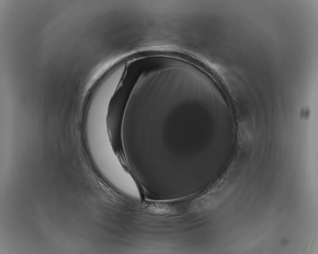 X0000090861319200708171557