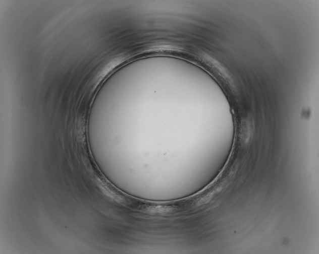 X0000090861321200708171557