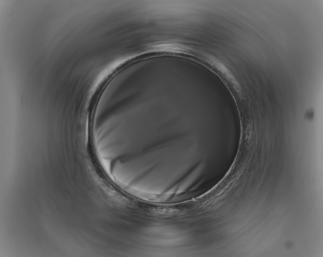 X0000090861323200708171557