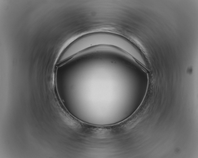 X0000090861324200708171557