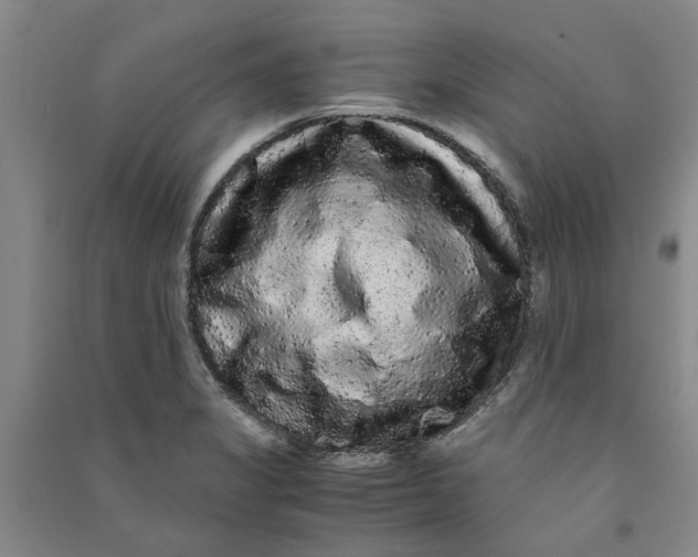 X0000090861325200708171557