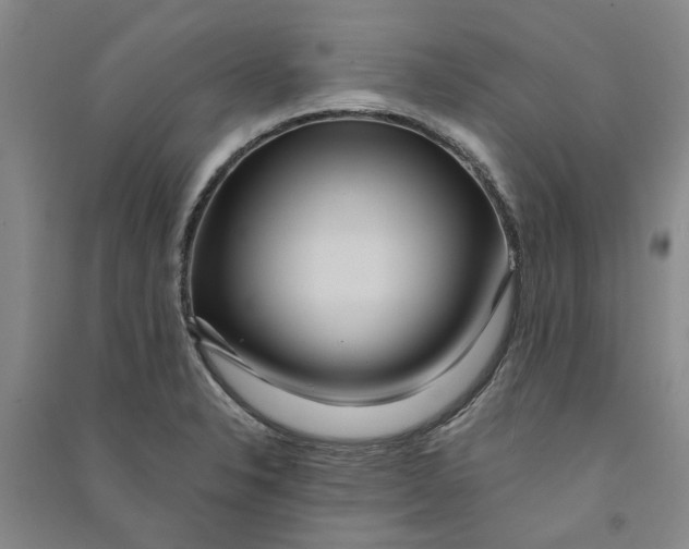 X0000090861326200708171557