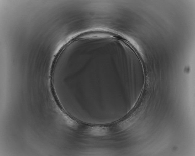X0000090861327200708171557