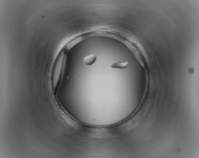 X0000090861328200708171557