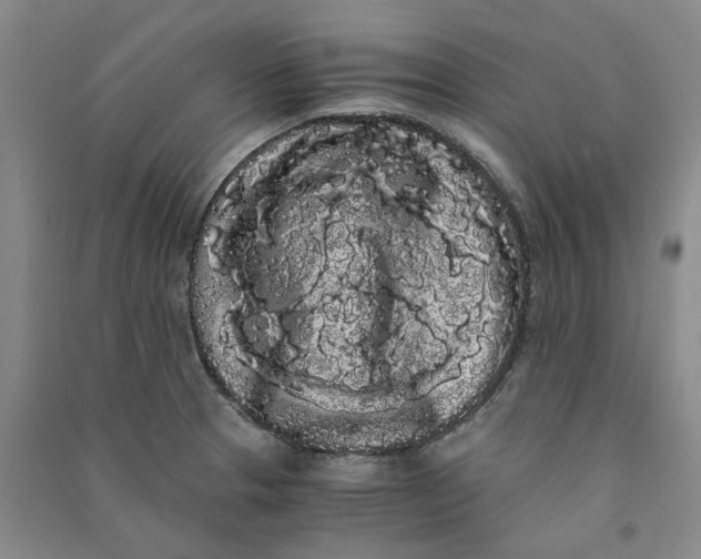 X0000090861329200708171557