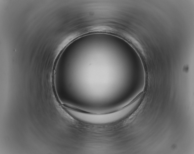 X0000090861330200708171557