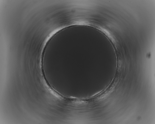 X0000090861331200708171557