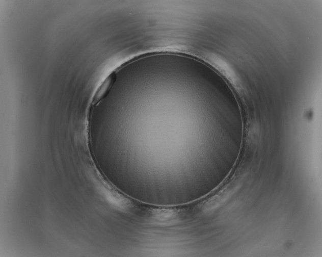 X0000090861332200708171557