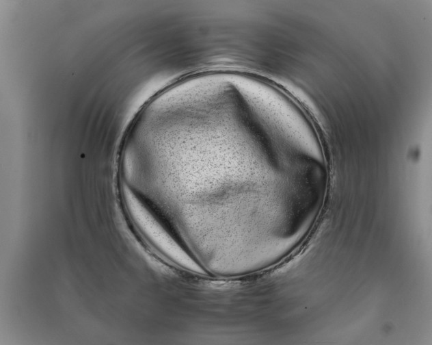 X0000090861333200708171557