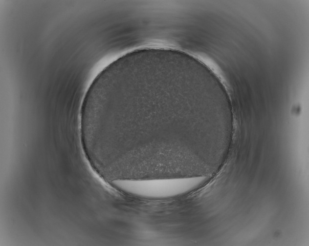 X0000090861335200708171557