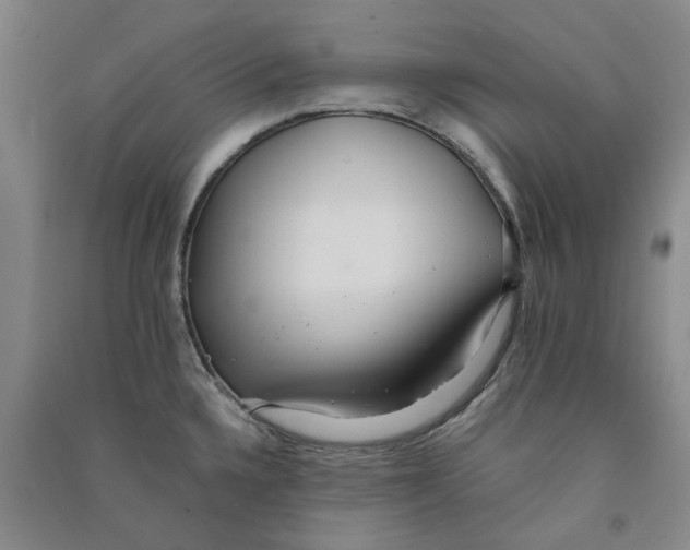 X0000090861336200708171557