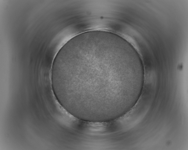 X0000090861338200708171557