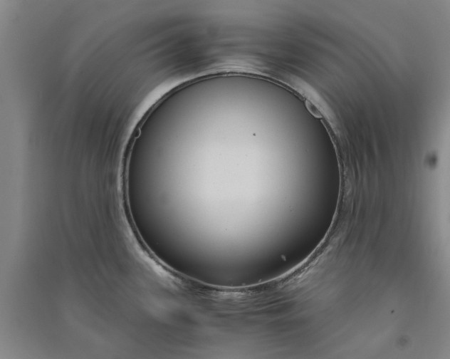 X0000090861339200708171557