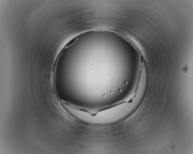 X0000090861340200708171557