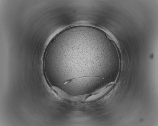 X0000090861341200708171557