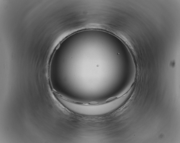 X0000090861342200708171557