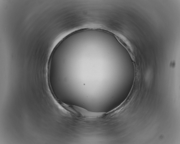 X0000090861343200708171557