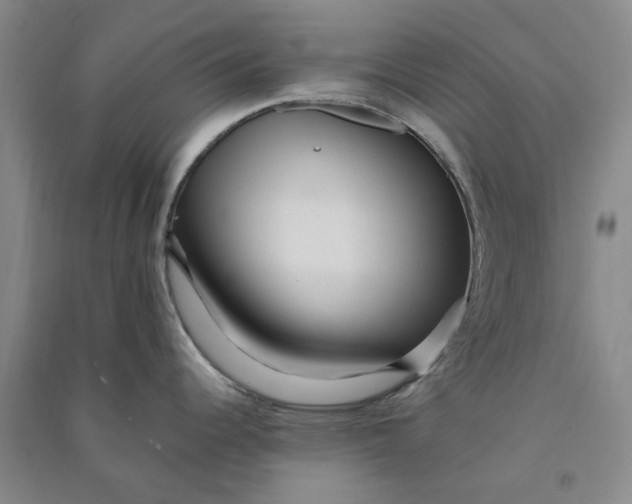 X0000090861344200708171557