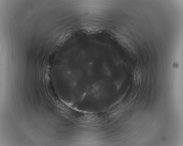 X0000090861346200708171557
