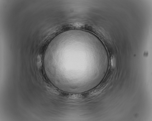 X0000090861347200708171557