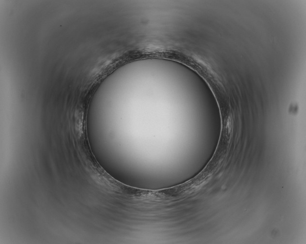 X0000090861348200708171557