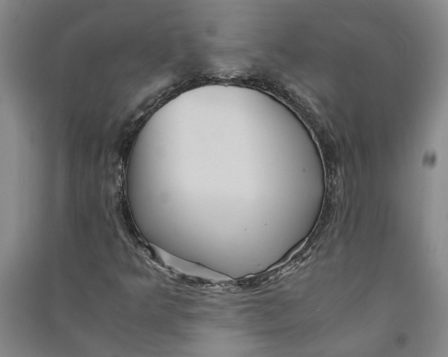 X0000090861349200708171557