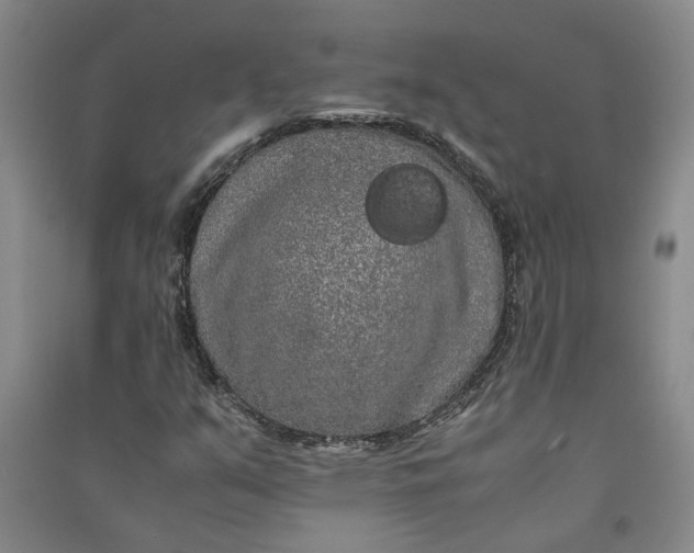 X0000090861351200708171557