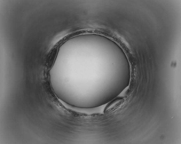 X0000090861352200708171557