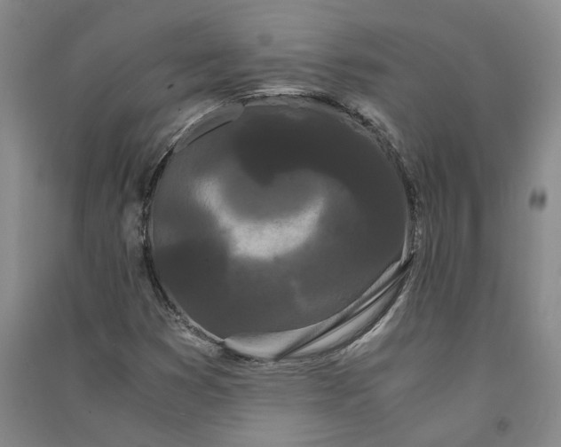 X0000090861353200708171557