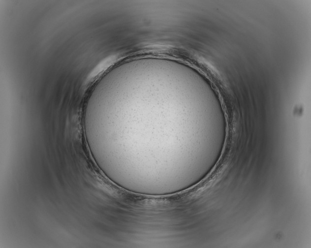X0000090861354200708171557