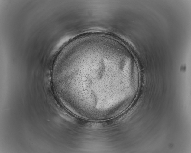 X0000090861355200708171557