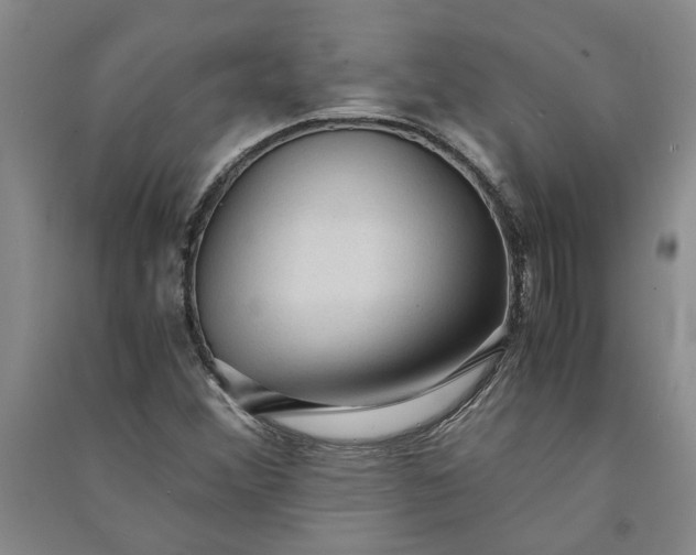 X0000090861356200708171557