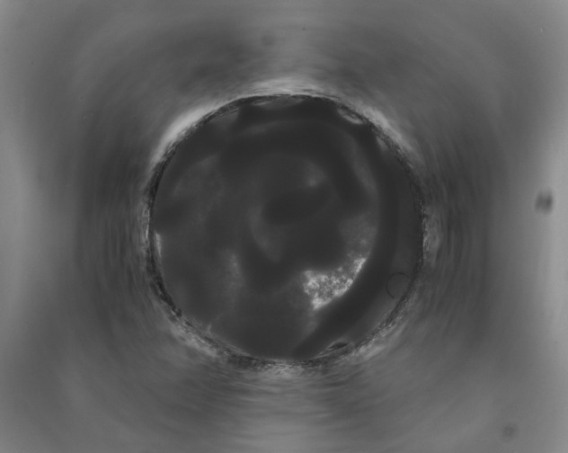 X0000090861358200708171557