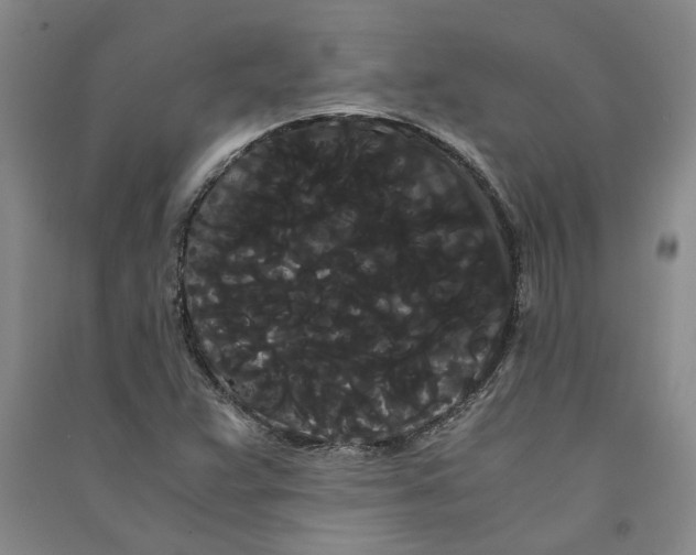 X0000090861359200708171557