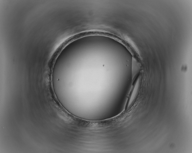 X0000090861360200708171557