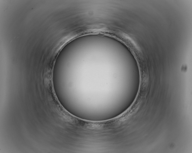 X0000090861361200708171557