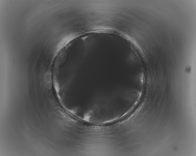 X0000090861362200708171557