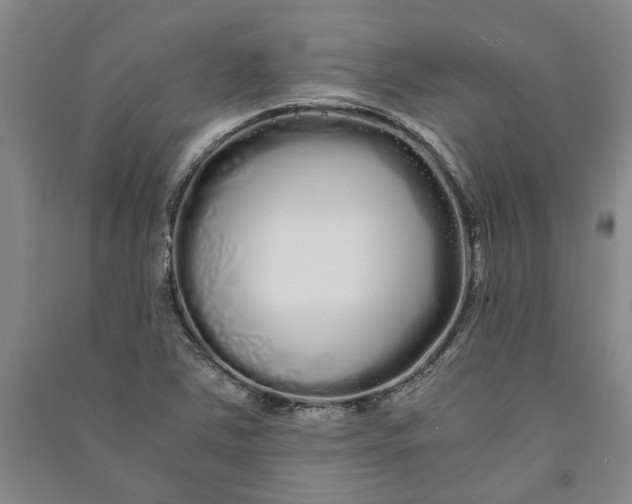 X0000090861363200708171557