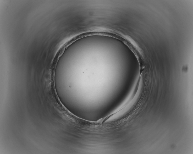 X0000090861364200708171557