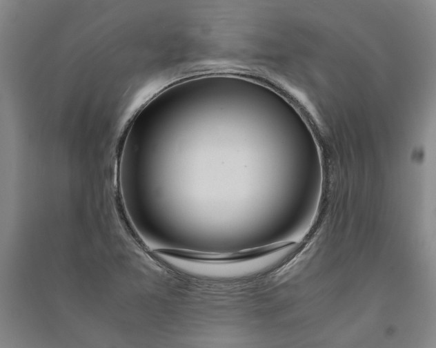 X0000090861365200708171557
