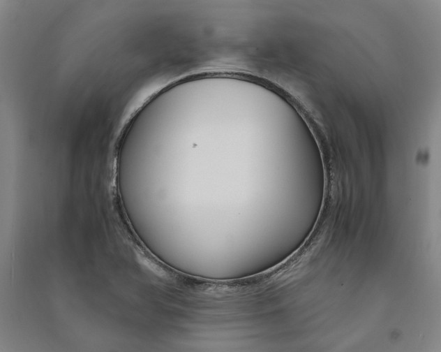 X0000090861366200708171557