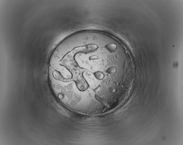 X0000090861367200708171557
