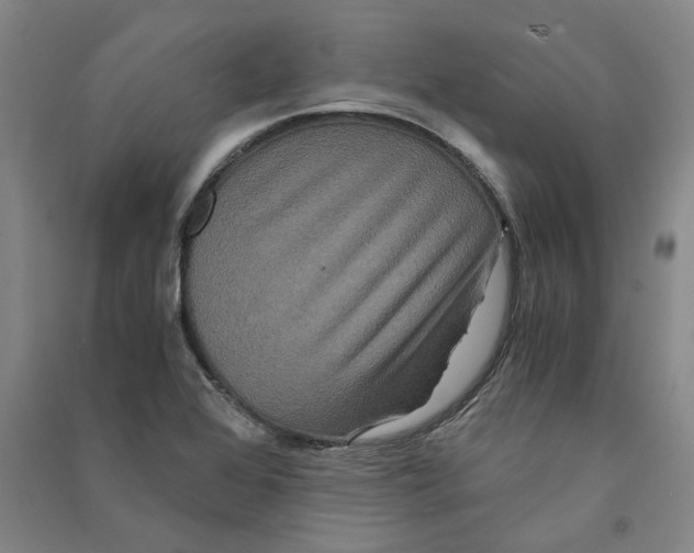X0000090861368200708171557