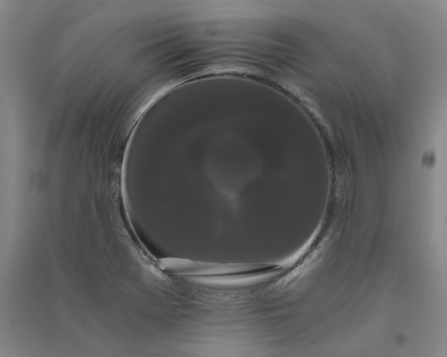 X0000090861369200708171557