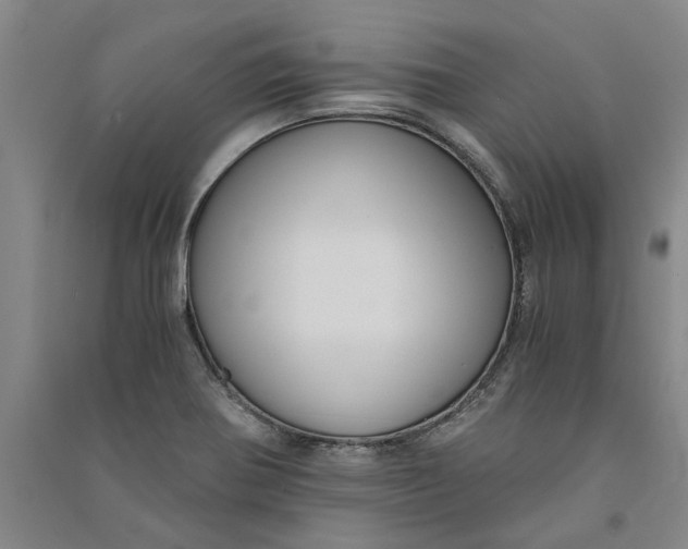 X0000090861370200708171557