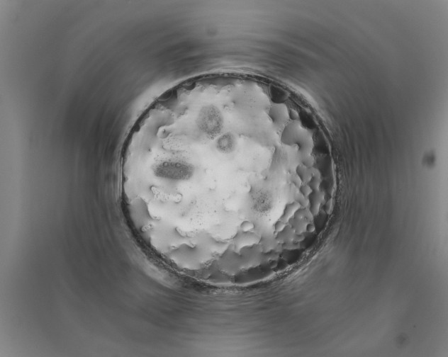 X0000090861371200708171557