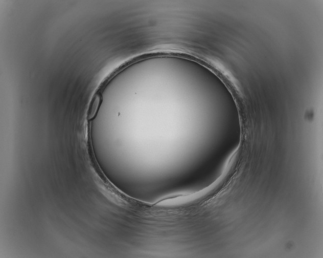 X0000090861372200708171557