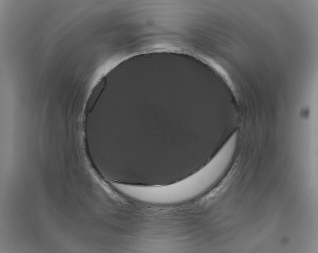 X0000090861373200708171557
