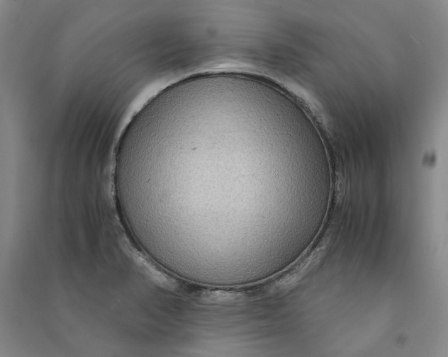 X0000090861374200708171556