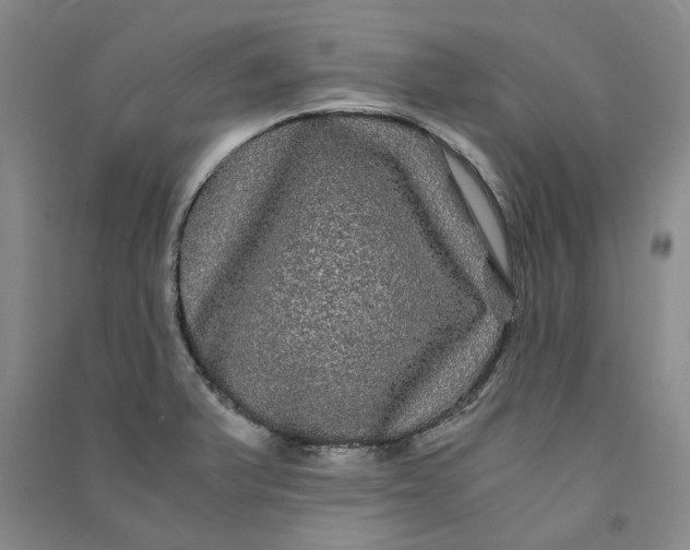 X0000090861375200708171556